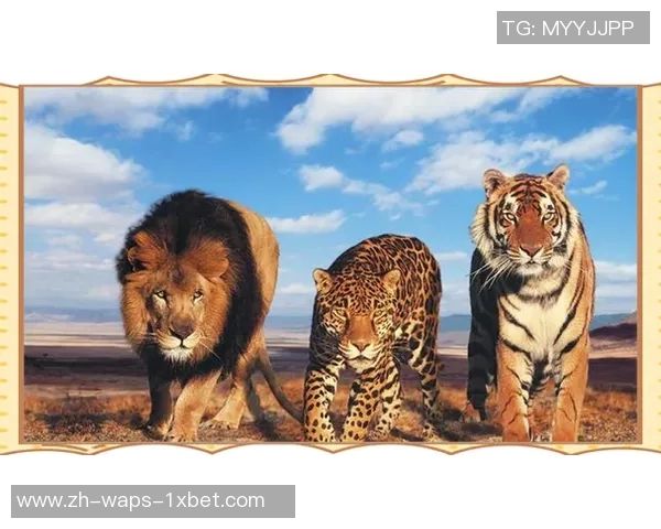 美洲豹与老虎的力量对决谁才是丛林之王的真正霸主